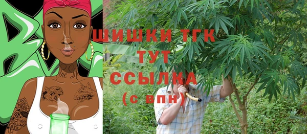 сатива Армянск