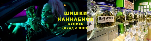 PSILOCYBIN Аркадак