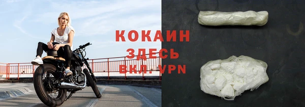 PSILOCYBIN Аркадак