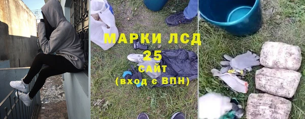 PSILOCYBIN Аркадак