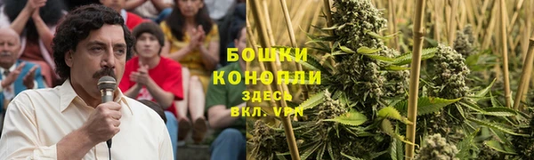 PSILOCYBIN Аркадак
