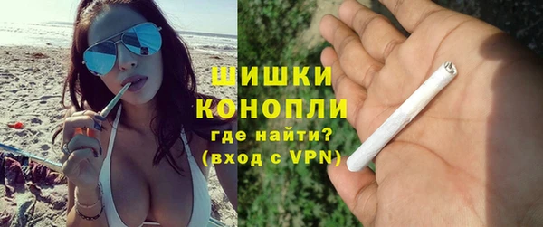 сатива Армянск