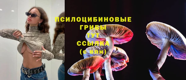 прущий лед Арсеньев