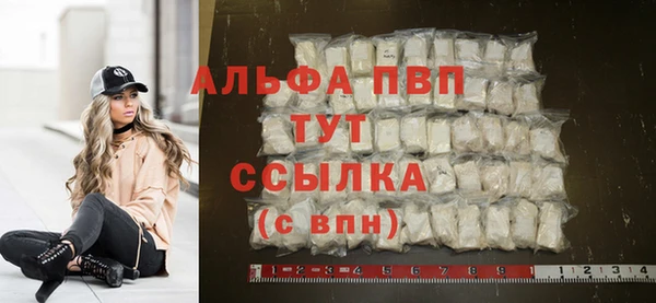 сатива Армянск